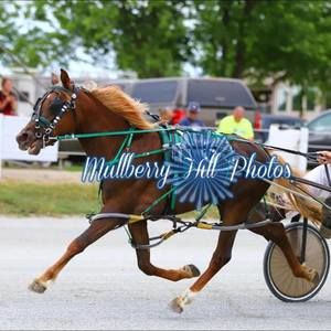 Meet your Posher, Winding brook